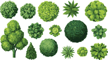 Set of vector green tree top views, landscape design elements, isolated on a transparent background. PNG file