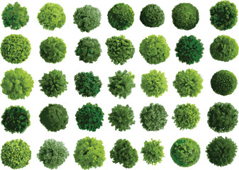 Set of top-view green trees for landscape design, vector illustration