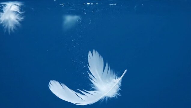 Floating Feathers - A Gentle Dance in Blue Depths.