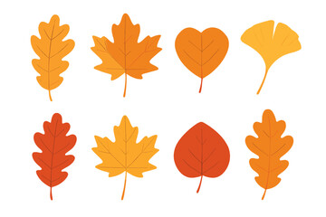 Obraz premium Assortment of colorful autumn tree leaves isolated on white background