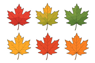Maple Leaves in Various Autumn Colors and Fresh Green Hues