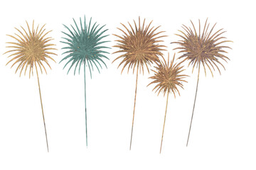 Obraz premium Stylized dried palm tree fronds with long stems for decoration
