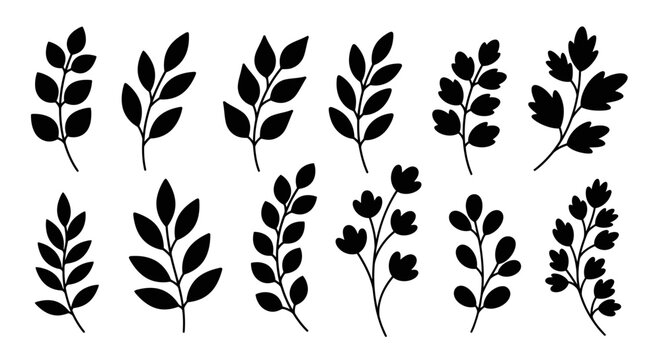 Set of various black silhouette leaves and branches on a white background.