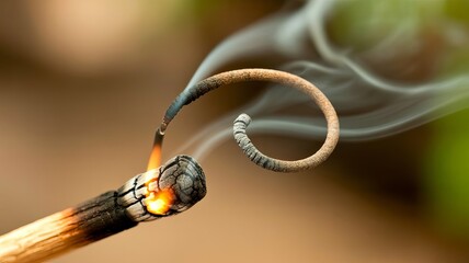 Burning Matchstick: A close-up shot captures the delicate dance of fire and smoke as a matchstick burns. The flame, smoke, and unique curvature of the wood.