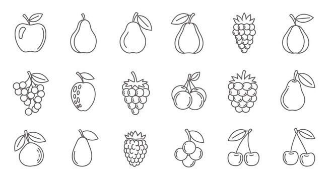 Collection of various fruit line art illustrations on a white background.