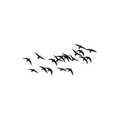 A flock of birds silhouetted against a white background creating a minimalist and stark visual effect