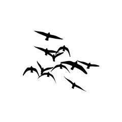 Silhouette of a flock of birds flying in formation against a white background in a minimalist style