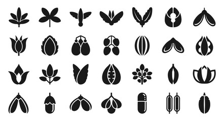 Diverse collection of botanical elements and plant-inspired shapes.