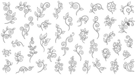 Elegant Hand-Drawn Floral Swirls and Leafy Ornaments Collection.