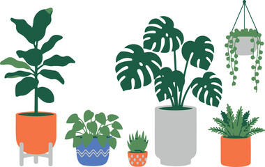 Set of potted houseplant flowers, small growing leaves, and isolated plants in a white pot