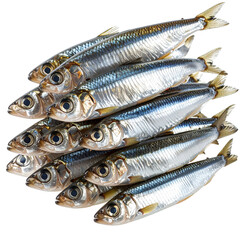 Pile of Fish: A close-up shot of a pile of glistening, silver fish, perfectly arranged, revealing the intricate details of their scales and fins.