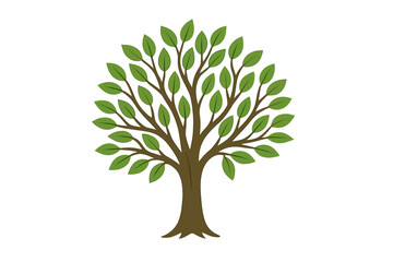 Stylized green leafy tree with brown trunk and branches on a white background