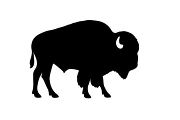 Majestic American bison silhouette standing in profile view isolated on white background