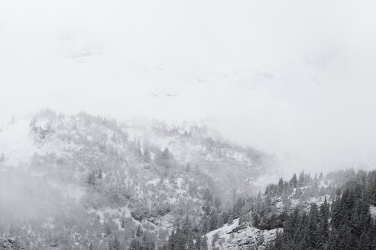 Aerial view of snow-dusted evergreens clinging to rugged mountain slopes, disappearing into the misty sky, a scene of serene winter isolation, Vouvry, Valais, Switzerland.