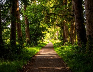 A stone path leads through a lush, sun-dappled forest tunnel lined with tall trees and vibrant foliage