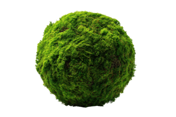 Green mossy sphere isolated on black background textured natural element ball, Isolated On Transparent Background, Png Cut Out