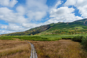 Autumn Marsh and Ponds at Numanotaira, Daisetsuzan Mountains, Hokkaido