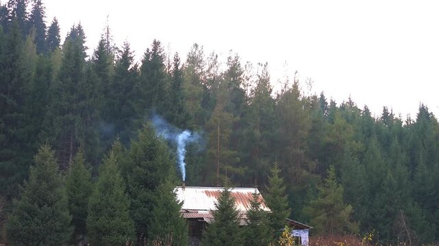 Small wooden cabin with smoke coming from chimney in a dense green mountain forest