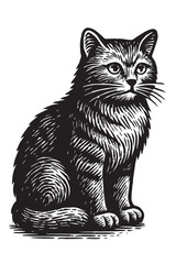 A detailed vintage style woodcut illustration of a seated domestic cat.