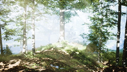 Naklejka premium Soft rays of sunlight shine through a serene forest of tall trees and gentle foliage. The atmosphere feels calm and mystical, a perfect escape into natures embrace.