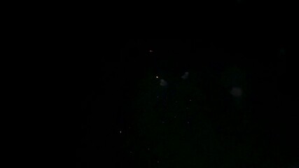 vibrant festive firework burst against black background