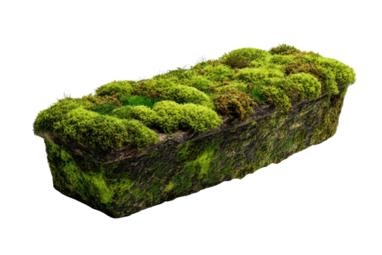 Rectangular object covered in lush green moss and brown moss nature plant, Isolated On Transparent Background, Png Cut Out