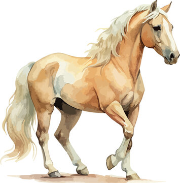 Palomino Beige Horse Standing Animal Vector Watercolor Illustration