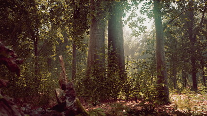 Sunlight filters through tall trees in a vibrant forest, illuminating lush green leaves and creating a peaceful atmosphere. Leaves scatter on the forest floor, offering a serene escape.