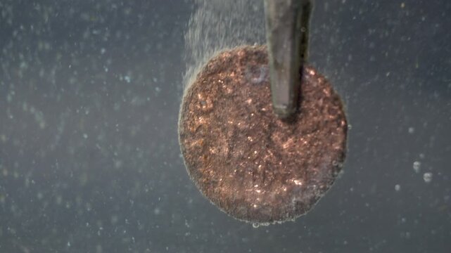 Ancient Roman coin held by alligator clip during electrolytic cleaning.