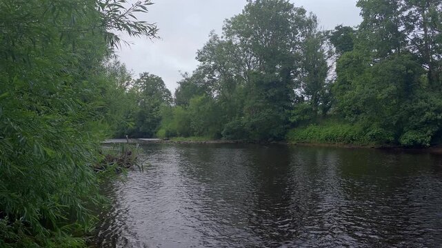 Static wide shot of peaceful river surrounded by dense green trees in Ripon