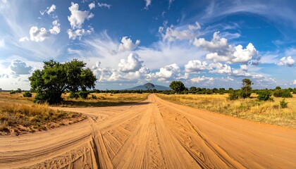 Scenic African Savannah Landscape with Dirt Road and Cloudy Sky.