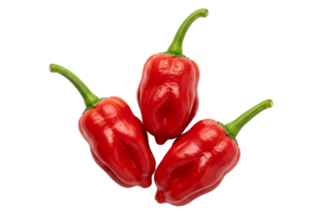 PNG.red hot chili peppers. Three fresh red Ghost Peppers, Bhut Jolokia, hottest chilies Isolated on transparent background.