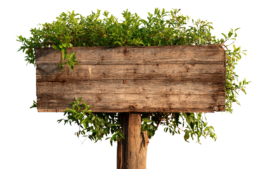 Weathered wooden signpost with green foliage against black background image, Isolated On Transparent Background, Png Cut Out