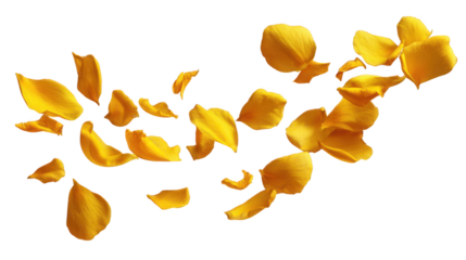 Closeup of fresh yellow starfruit slice with yellow autumn leaves isolated on white