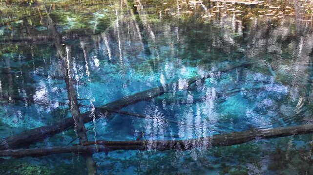 北海道斜里郡清里町2025秋-神の子池-03