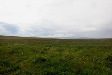 Grassy fields of Scotland with rolling green hills, open meadows, and gentle highland contours creating a peaceful and expansive rural landscape