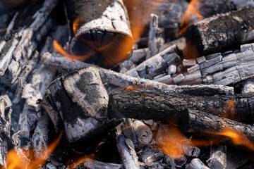 a bonfire made of logs from fruit trees and an orange flame during the preparation of the barbecue for cooking meat, close up