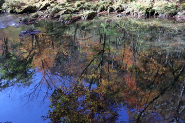 川面に描かれた紅葉　小田深山渓谷　（愛媛県）