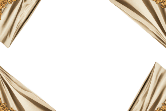 Vintage ornate golden floral frame border design vector illustration