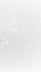 Magic winter snowflake fall overlay with cold glowing light.