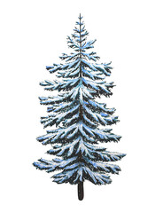 Hand drawn snowy blue spruce. Christmas decor. Watercolor illustration.