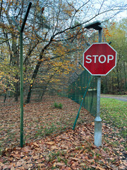 Red hexagonal stop sign on a grey post beside an autumn woodland fence, surrounded by warm seasonal colours.