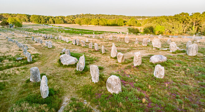 Carnac &ndash; champ de menhirs dispers&eacute;s au coucher du soleil