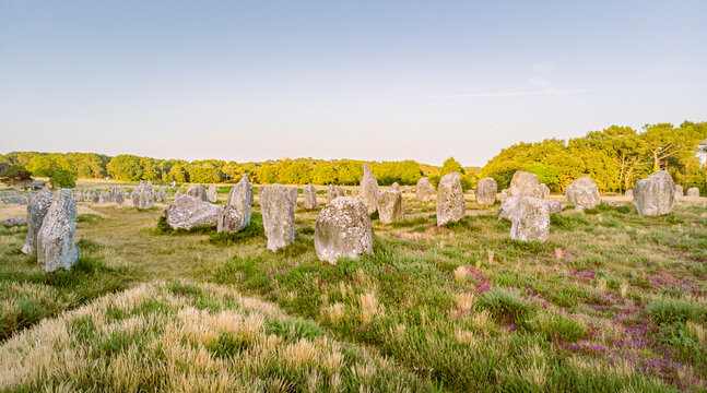 Alignements m&eacute;galithiques de Carnac &ndash; groupe de menhirs sous ciel clair