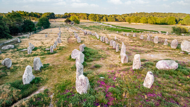 Alignements de Carnac &ndash; perspective profonde sur les menhirs au c&oelig;ur de Kermario