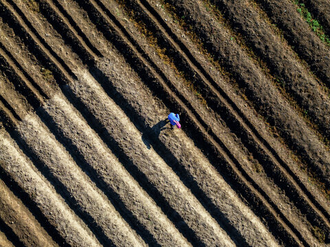Aerial view of a lone figure stands amidst the stark furrows of a vast field, contrasting textures and tones under the sun, Klaten Regency, Central Java, Indonesia.