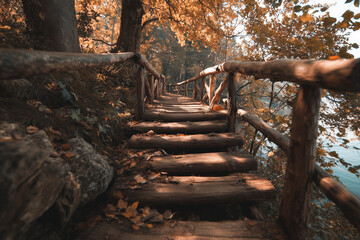 Wooden bridge in autumn park with orange foliage