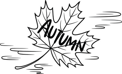 Autumn leaf with autumn word on it in black and white drawing