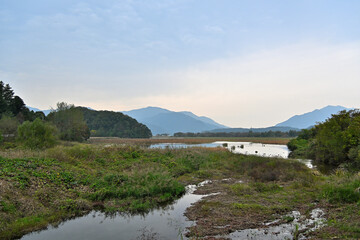 The appearance of plants living in a large lake on a cloudy autumn day