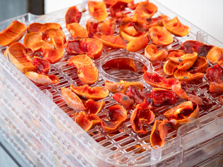 Dried persimmon slices in food dehydrator closeup, healthy homemade fruit snacks.